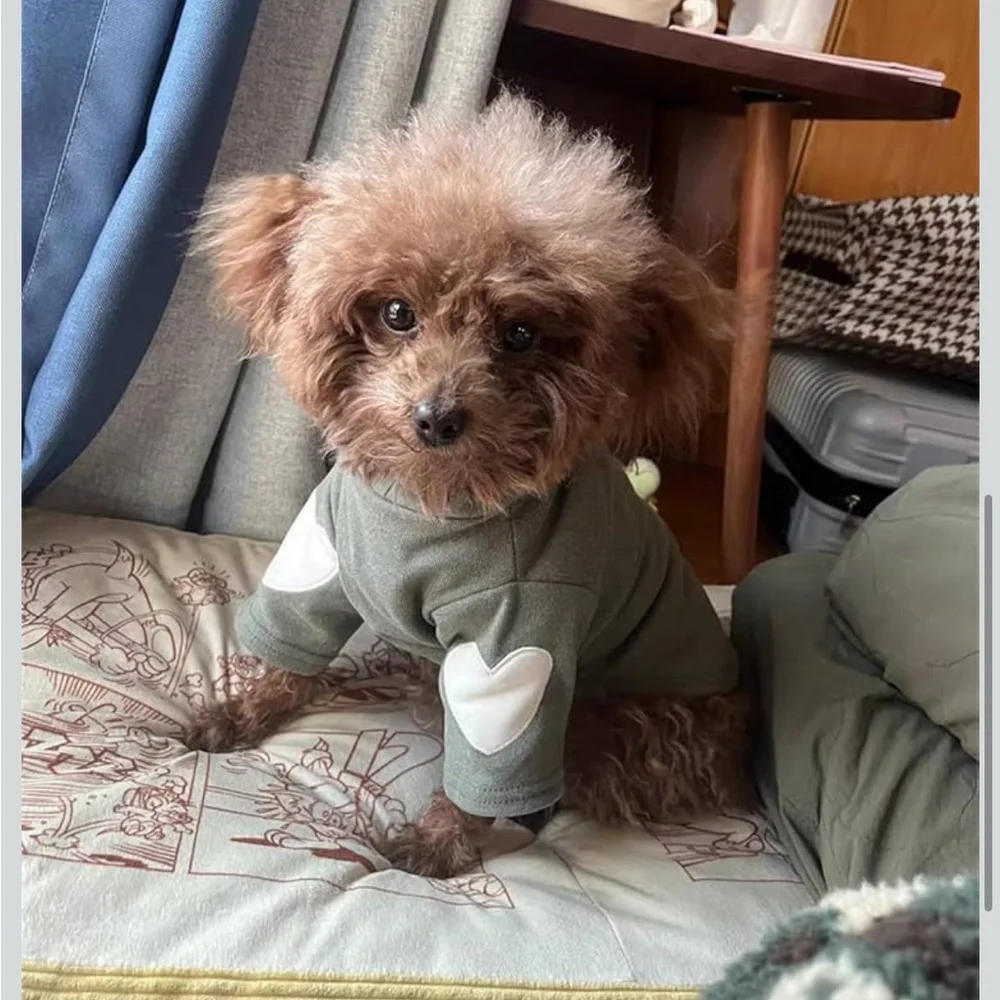 Amazon Small/XS Dog or Cat Green Sweater with Heart Elbow Pads NWT